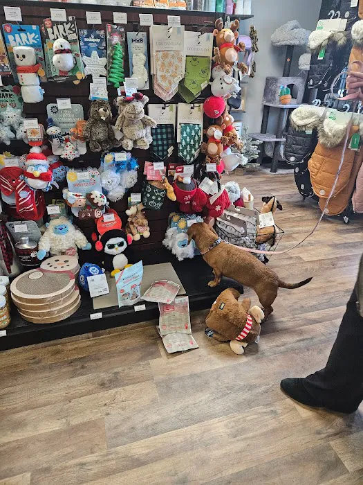 The Paw Pad Pet Boutique Picture 6