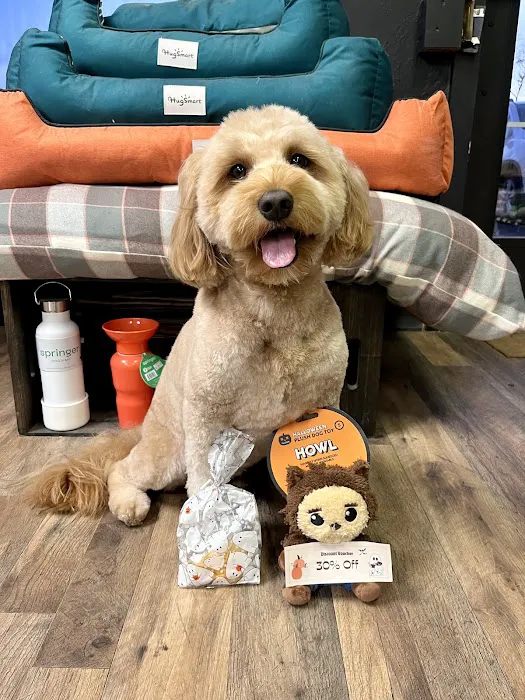 The Paw Pad Pet Boutique Picture 1