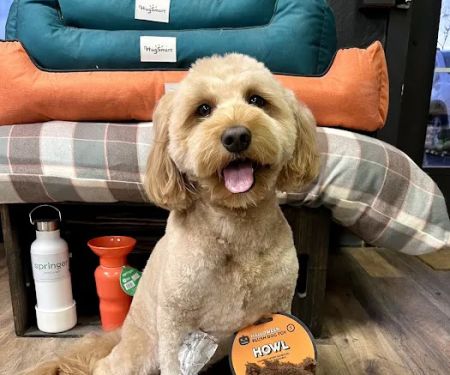 The Paw Pad Pet Boutique