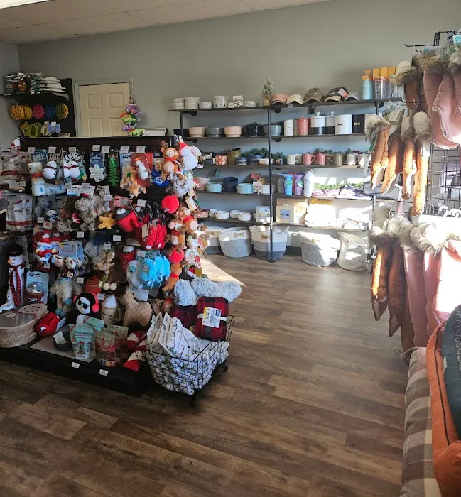 The Paw Pad Pet Boutique Picture 3