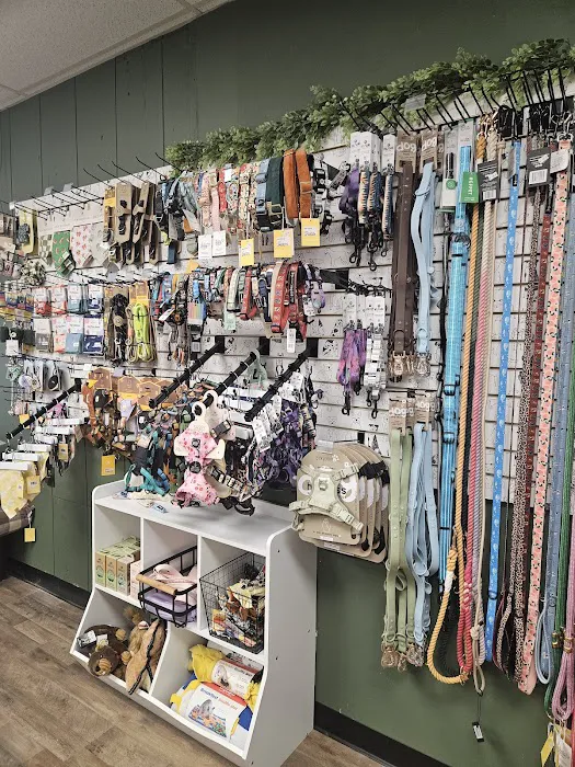 The Paw Pad Pet Boutique Picture 4