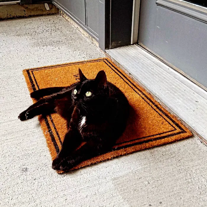 VCA Veterinary Referral and Emergency Center Picture 8