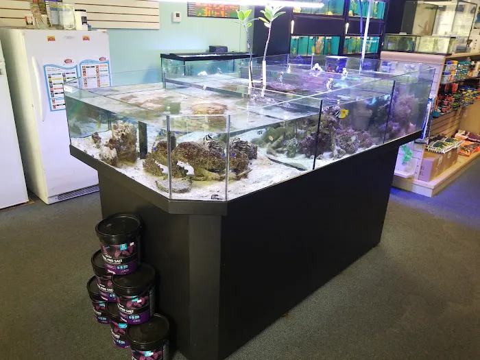Ocean Rift Aquatics Picture 3