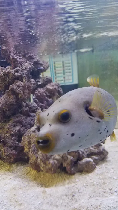Ocean Rift Aquatics Picture 5