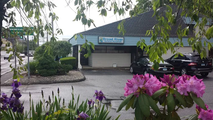 Broad River Animal Hospital Picture 3