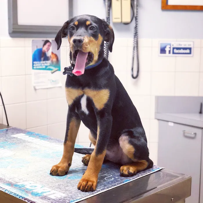 Broad River Animal Hospital Picture 1