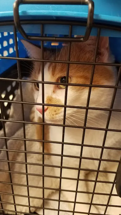 Broad River Animal Hospital Picture 4