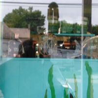 Tropical Paradise Pet Center ico