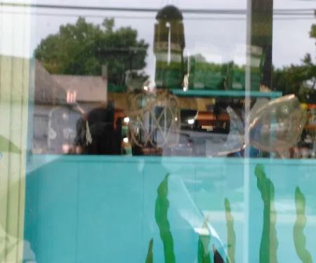 Tropical Paradise Pet Center