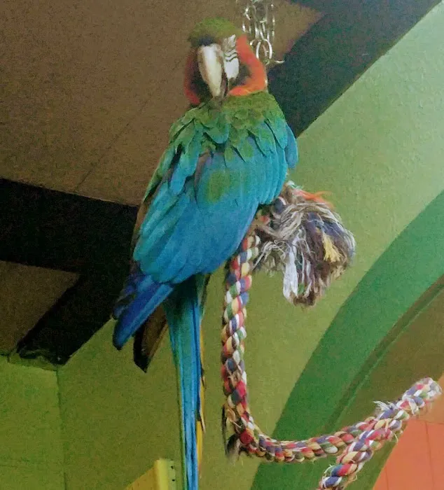 Tropical Paradise Pet Center Picture 5
