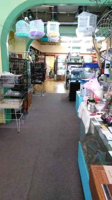 Tropical Paradise Pet Center Picture 7