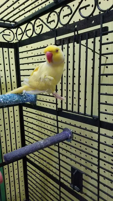 Tropical Paradise Pet Center Picture 4