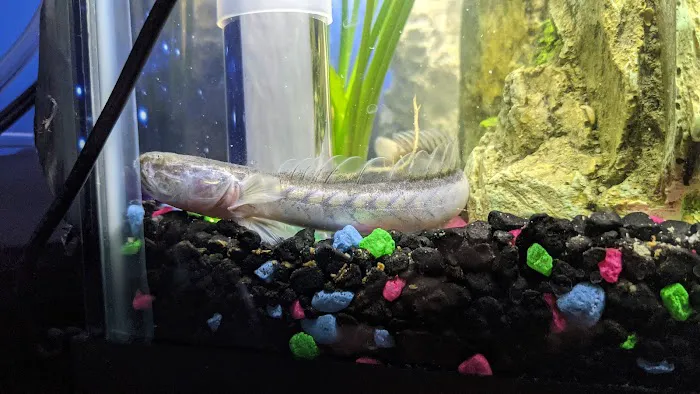 Tropical Paradise Pet Center Picture 8