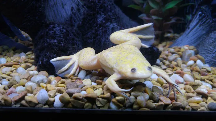 Tropical Paradise Pet Center Picture 6