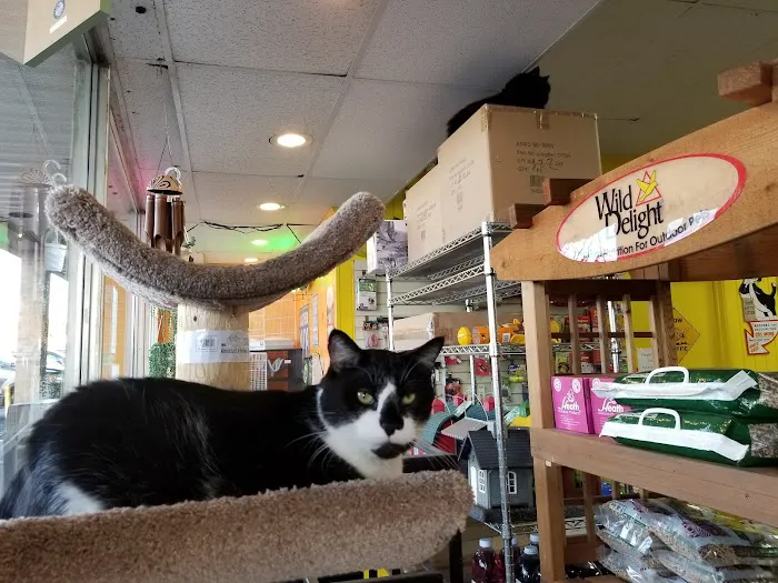 Whiskers Wings And Wild Things Picture 5