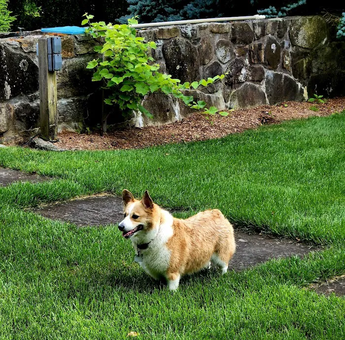 Norwalk Animal Hospital Picture 6