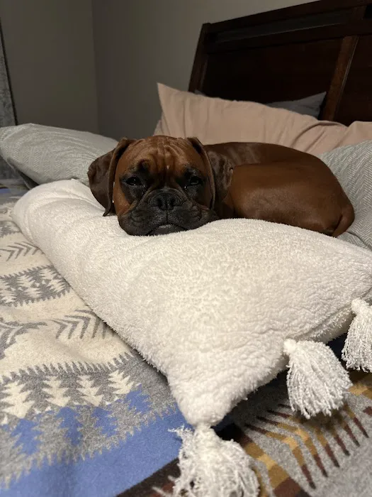 Boxer Blvd. Picture 3