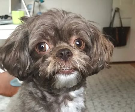 Pound Ridge Veterinary Center