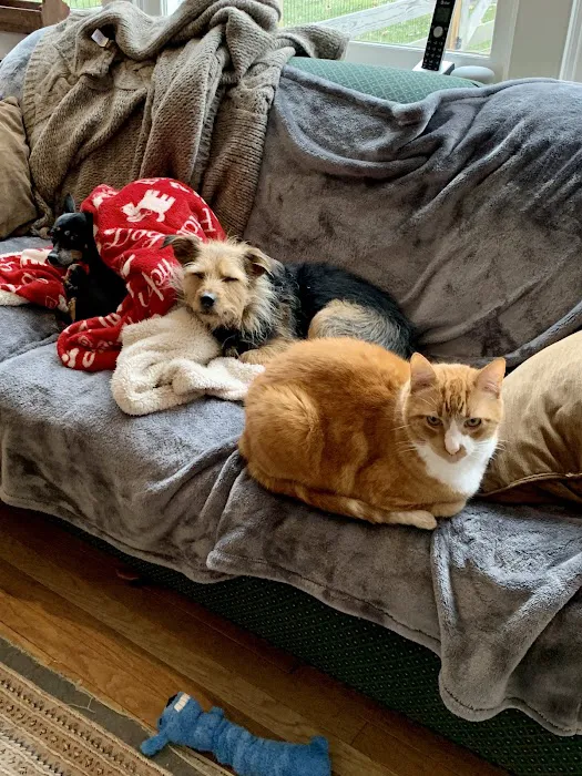 Pound Ridge Veterinary Center Picture 5