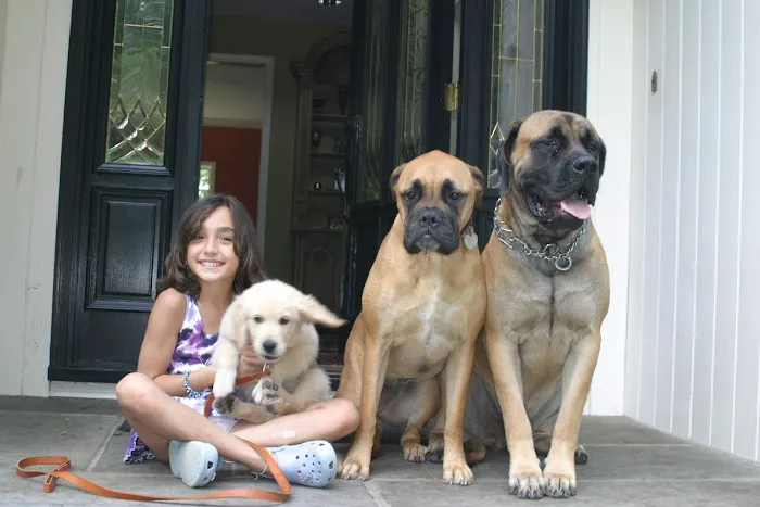 Pound Ridge Veterinary Center Picture 3