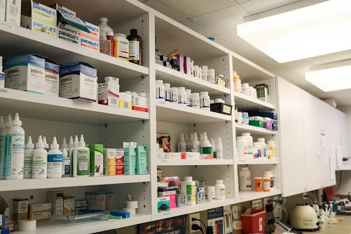 Pound Ridge Veterinary Center Picture 8