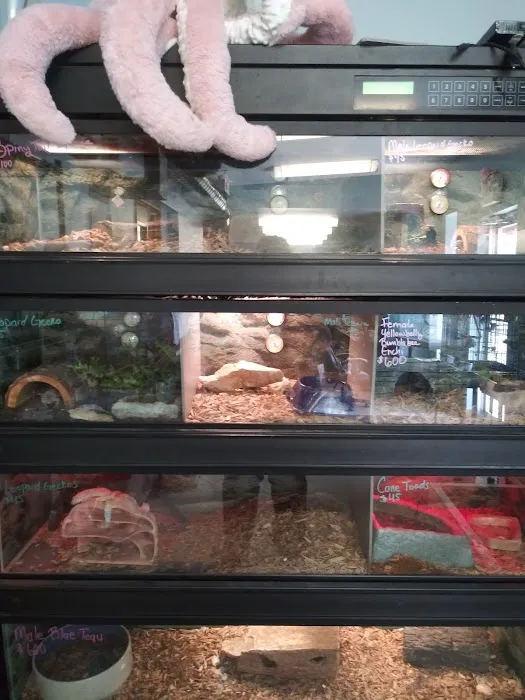 Critters Pet Shop Picture 2