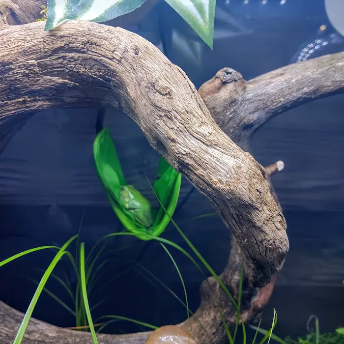 Critters Pet Shop Picture 4