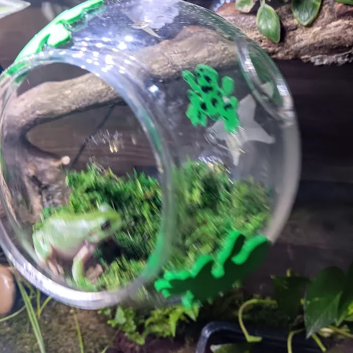 Critters Pet Shop Picture 7