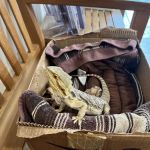 South Wilton Veterinary Group