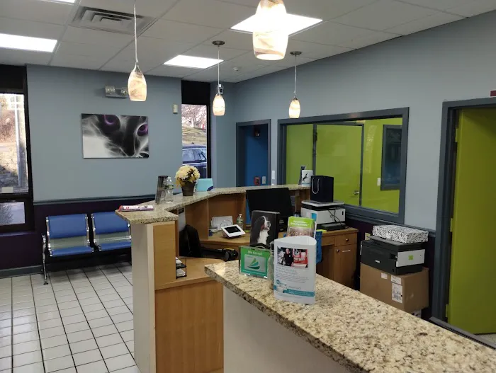 Value Pet Vet Picture 3