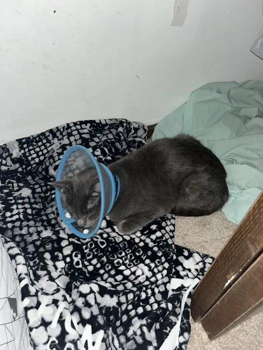 Value Pet Vet Picture 8
