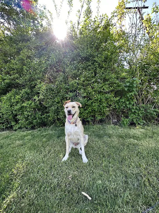 Value Pet Vet Picture 10