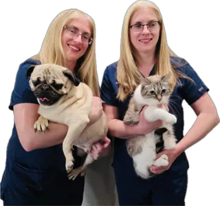 CoTwins Pet Care and Supplies Picture 1