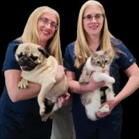 CoTwins Pet Care and Supplies ico