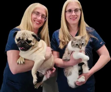 CoTwins Pet Care and Supplies