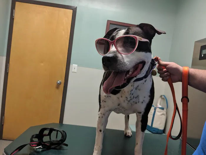 Rockland Veterinary Care - North Rockland Picture 8