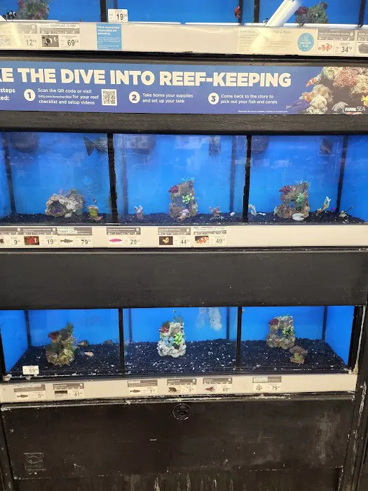 Petco Picture 1