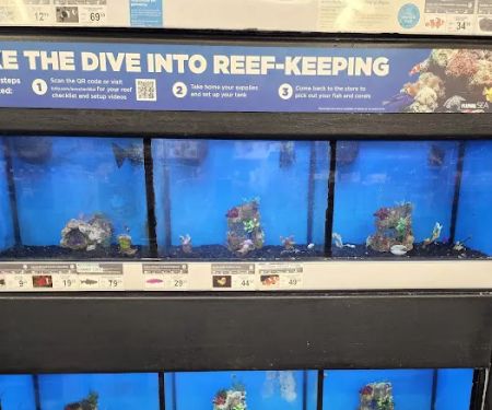 Petco