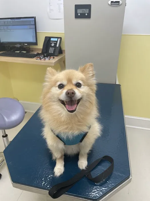 Peekskill-Cortlandt Animal Hospital Picture 1