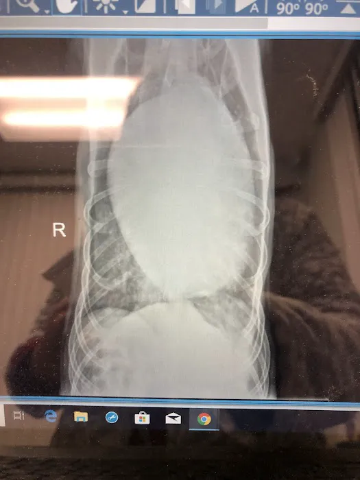 Peekskill-Cortlandt Animal Hospital Picture 5
