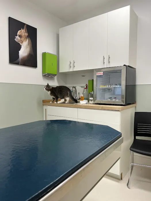 Peekskill-Cortlandt Animal Hospital Picture 9
