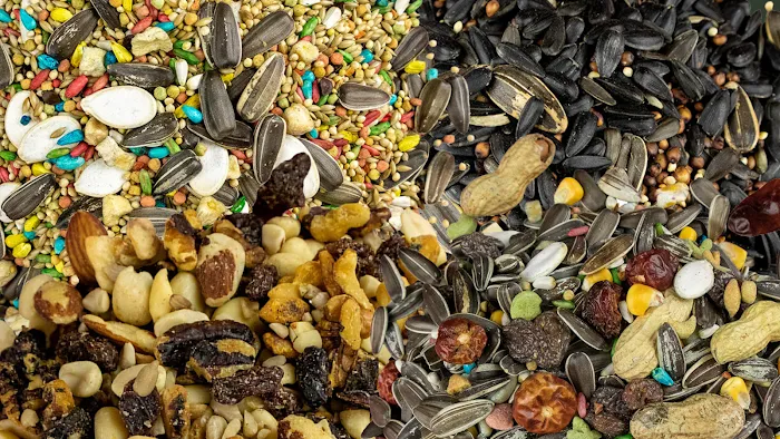 Bird Pro - Craft Bird Food Picture 1
