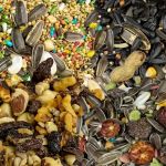 Bird Pro - Craft Bird Food