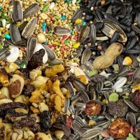 Bird Pro - Craft Bird Food ico