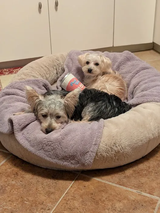 North Westchester Veterinary Office Picture 1