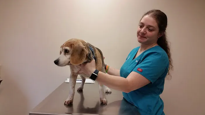 North Westchester Veterinary Office Picture 2