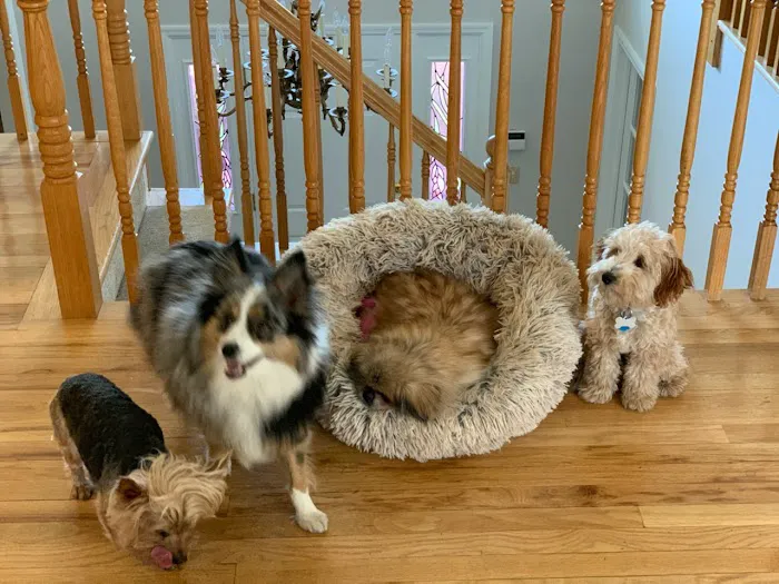 North Westchester Veterinary Office Picture 5