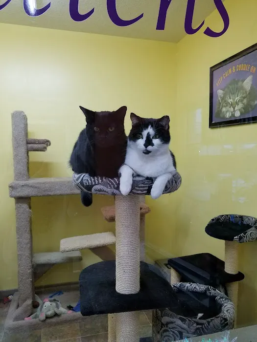 Bo's Pet Shoppe Picture 1