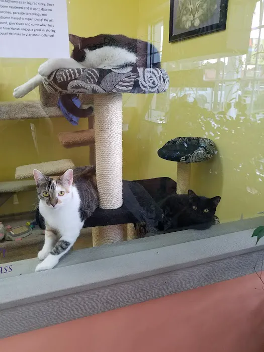 Bo's Pet Shoppe Picture 6