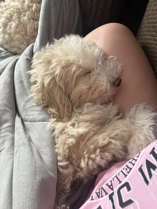 Harbor Pet Center Picture 3